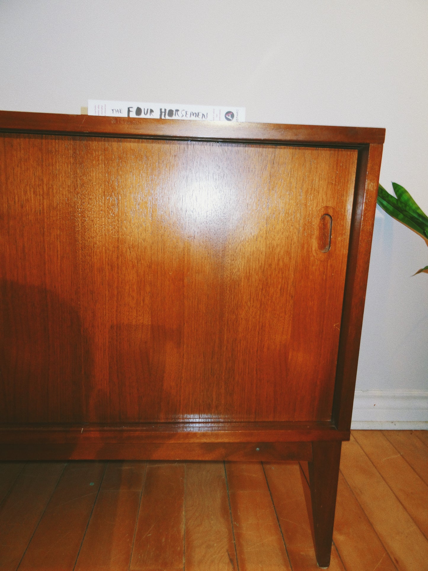 Teak Storage/Record Cabinet