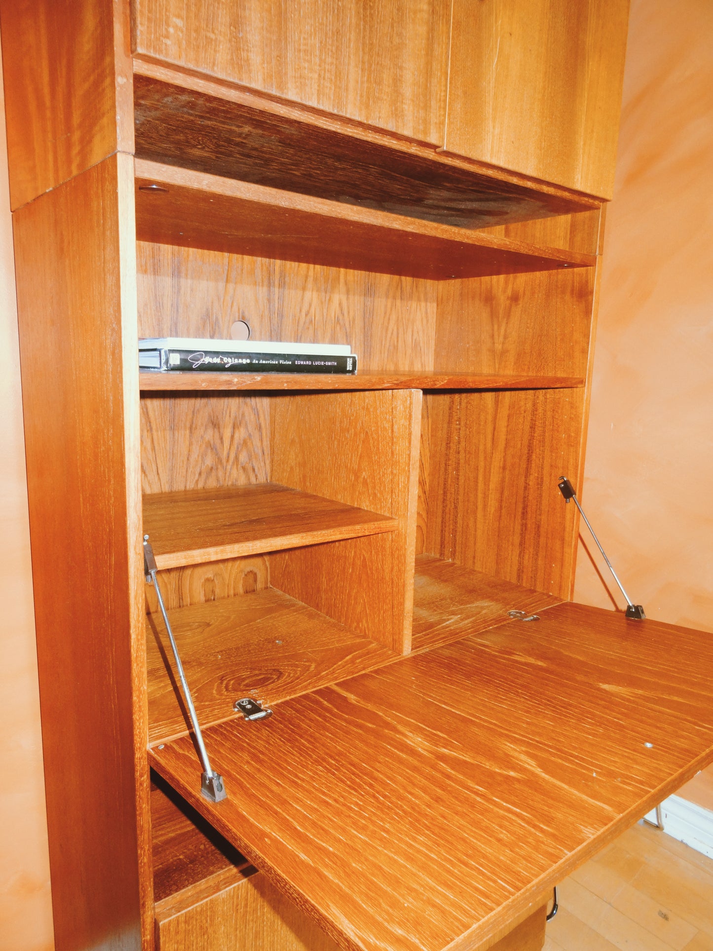 Danish Teak Cabinet/ Book Shelf #2
