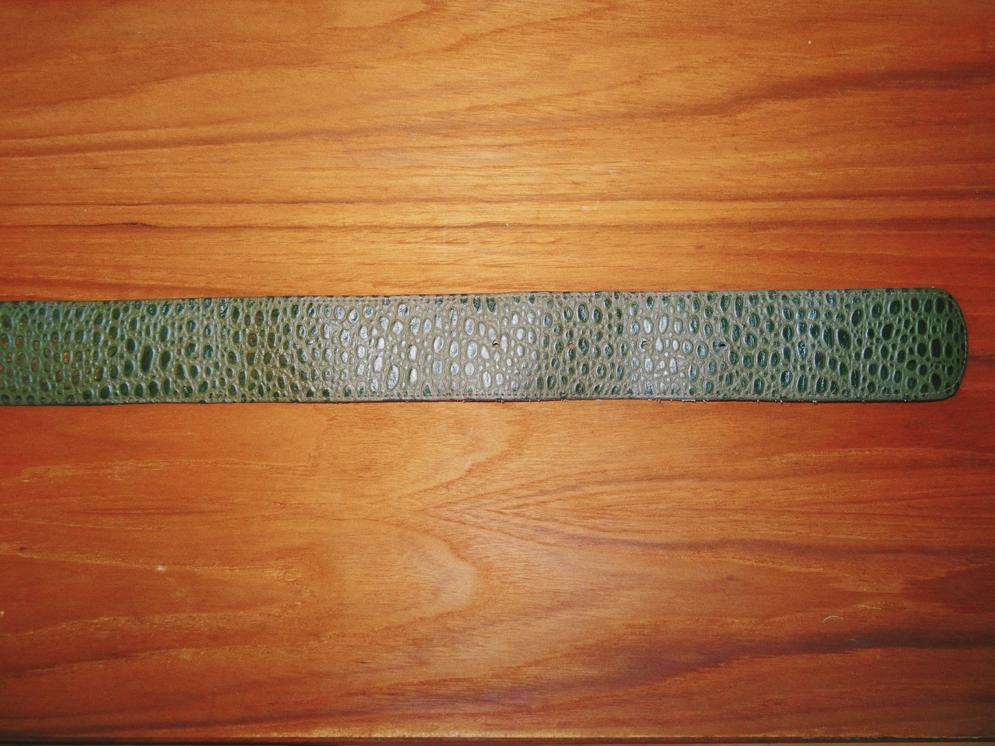 Vintage Snakeskin Buckle Belt