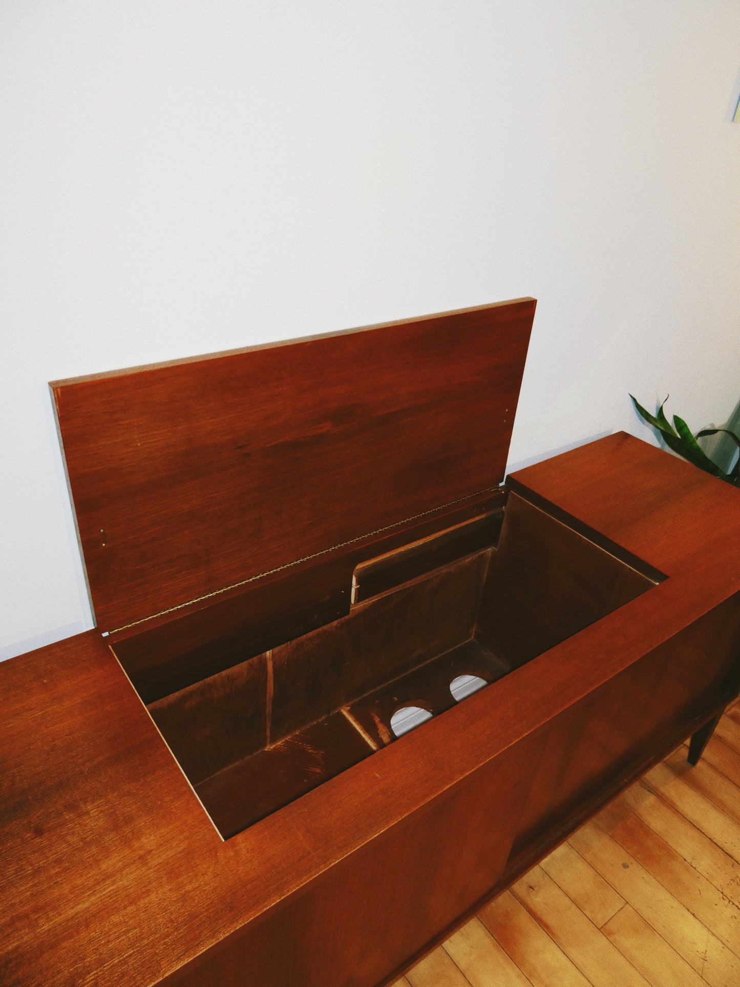 Teak Storage/Record Cabinet