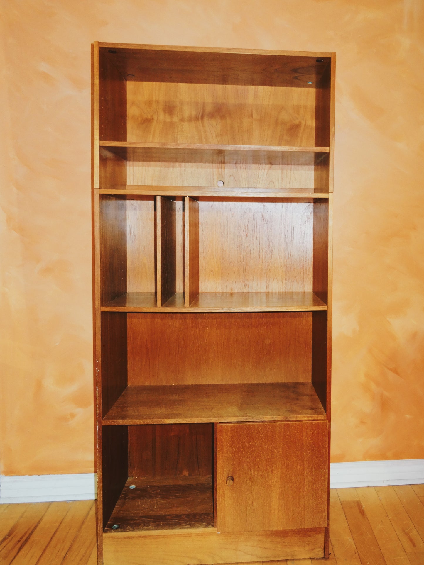 Danish Teak Record Cabinet #1
